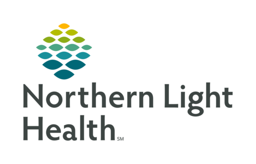 Northern Light Health Digital Services